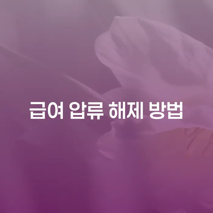 급여 압류 해제 방법을 알아보는 것이 왜 중요한가?