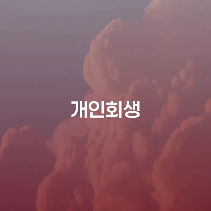 58살 투자 실패로 8350만원 개인회생 신청 가능할까요?