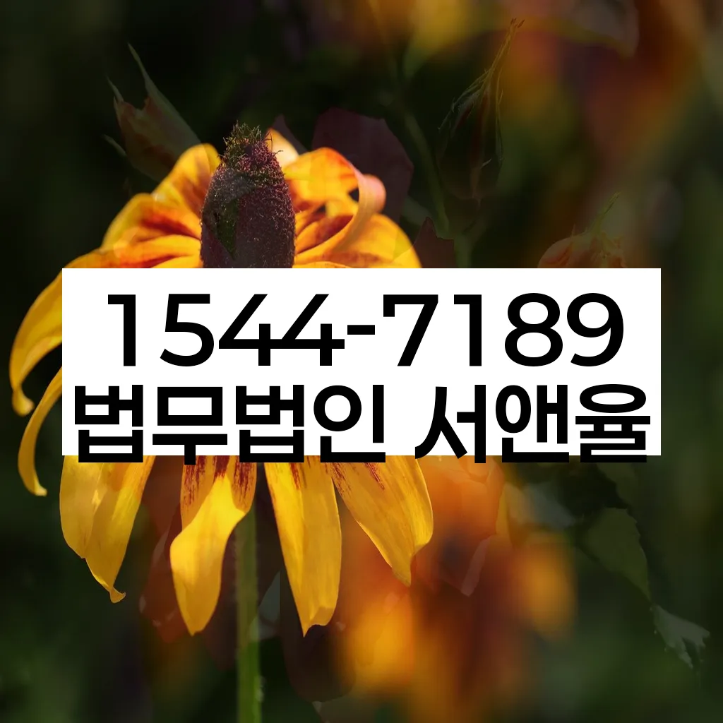 개인회생 및 파산 성공 사례